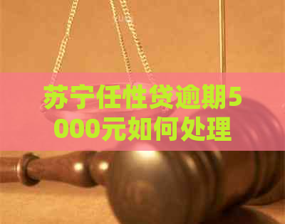 苏宁任性贷逾期5000元如何处理