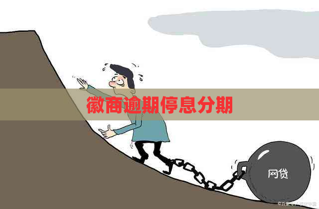 徽商逾期停息分期