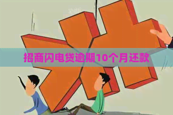招商闪电贷逾期10个月还款