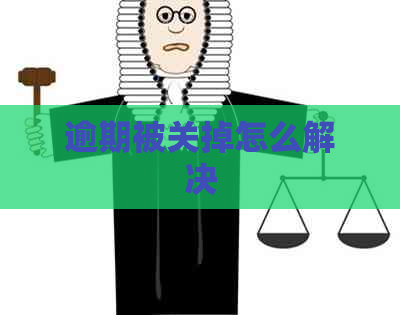逾期被关掉怎么解决