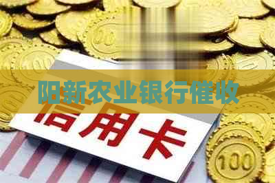 阳新农业银行