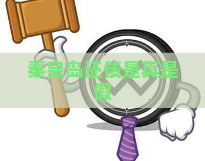秦皇岛还债是真是假