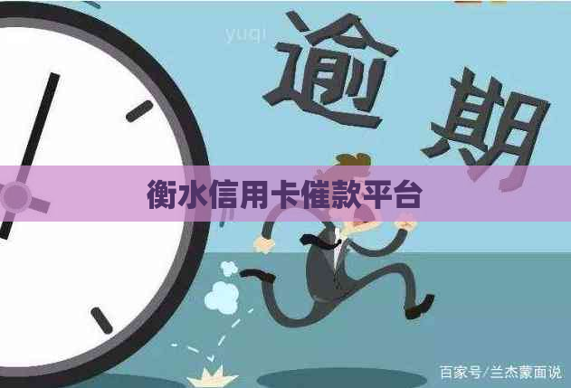 衡水信用卡催款平台