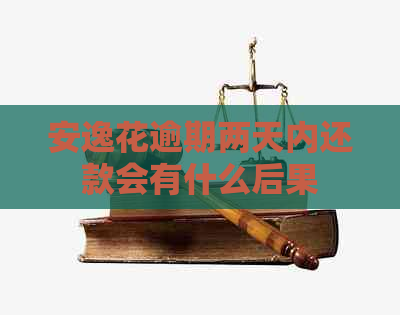 安逸花逾期两天内还款会有什么后果