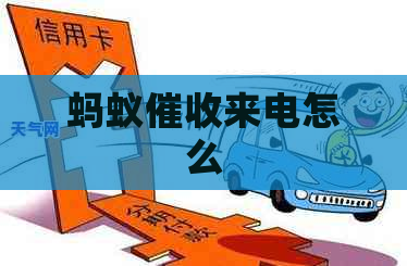 蚂蚁来电怎么