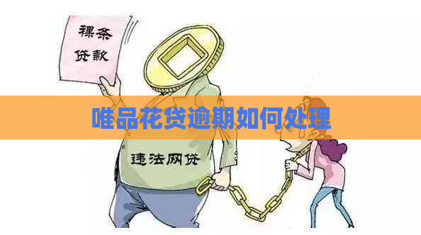唯品花贷逾期如何处理