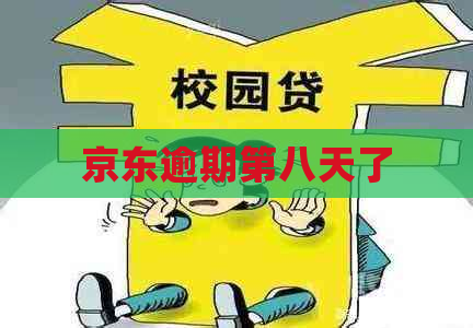 京东逾期第八天了