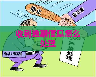 收到逾期信息怎么处理