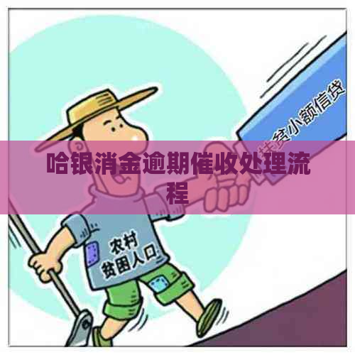 哈银消金逾期处理流程