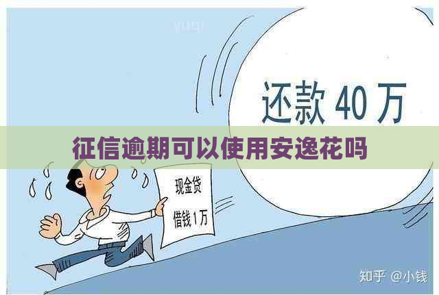 逾期可以使用安逸花吗