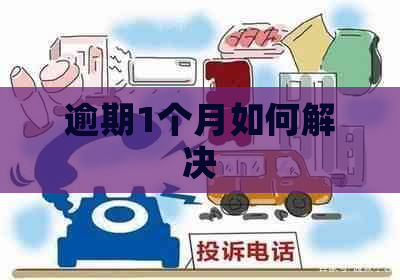 逾期1个月如何解决