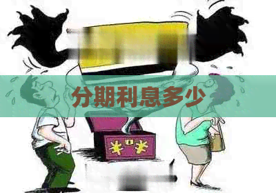 分期利息多少