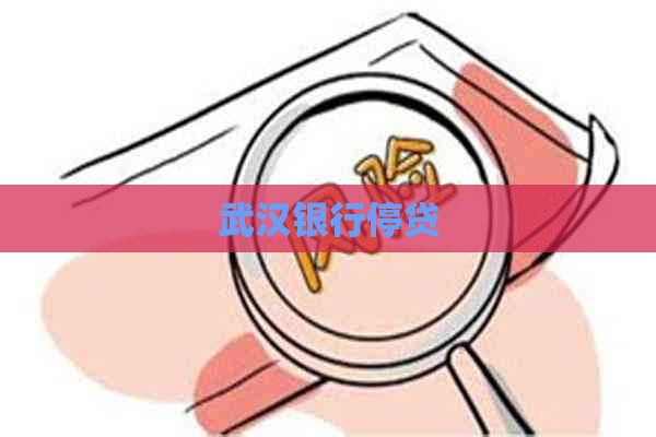 武汉银行停贷