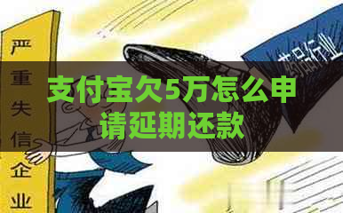 支付宝欠5万怎么申请延期还款