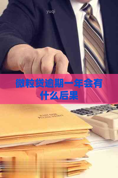 微粒贷逾期一年会有什么后果