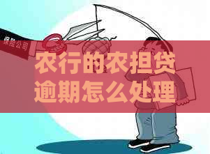 农行的农担贷逾期怎么处理