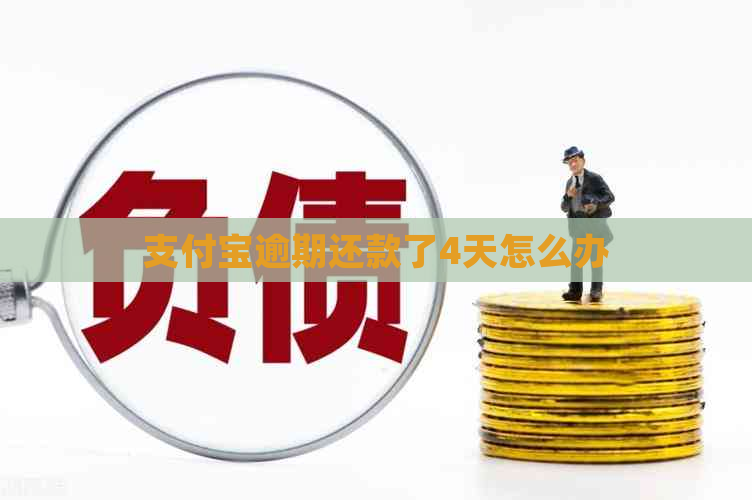 支付宝逾期还款了4天怎么办
