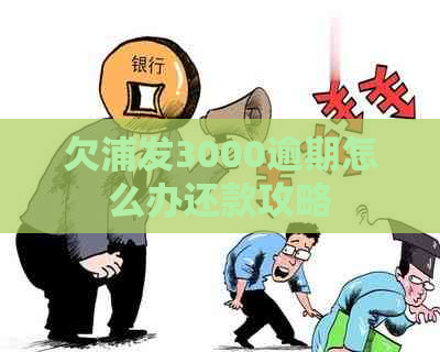 欠浦发3000逾期怎么办还款攻略 欠浦发3000逾期怎么办还款攻略