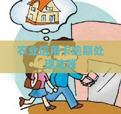 农业信用卡逾期处理攻略