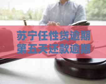 苏宁任性贷逾期第五天还款逾期利息多少