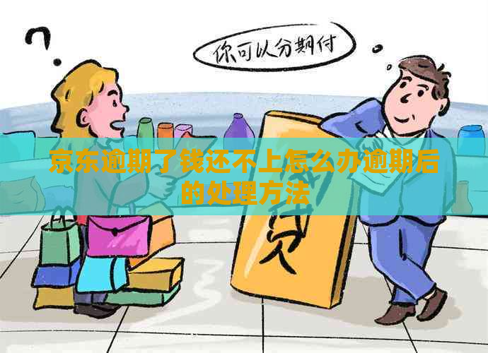 京东逾期了钱还不上怎么办逾期后的处理方法