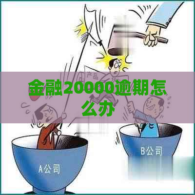 金融20000逾期怎么办
