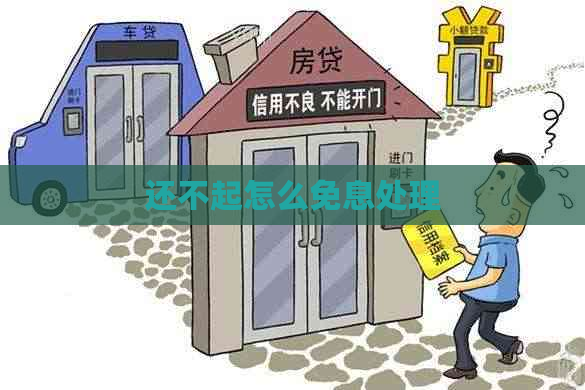 还不起怎么免息处理