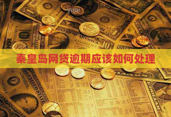 秦皇岛网贷逾期应该如何处理