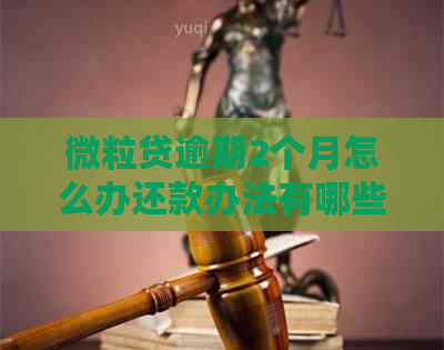 微粒贷逾期2个月怎么办还款办法有哪些