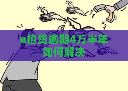 e招贷逾期4万半年如何解决