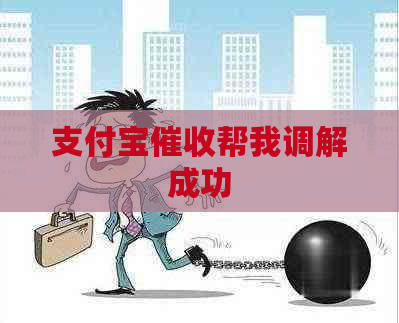 支付宝帮我调解成功