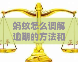 蚂蚁怎么调解逾期的方法和技巧