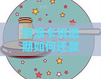 新浪卡贷逾期如何还款