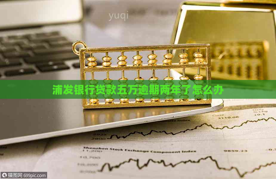 浦发银行贷款五万逾期两年了怎么办