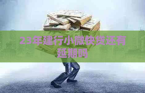 23年建行小微快贷还有延期吗