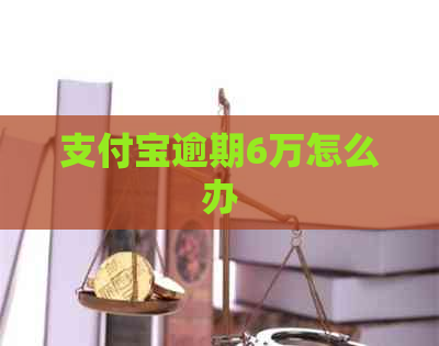 支付宝逾期6万怎么办