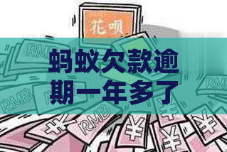 蚂蚁欠款逾期一年多了