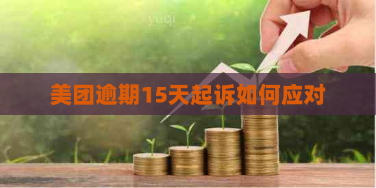 美团逾期15天起诉如何应对