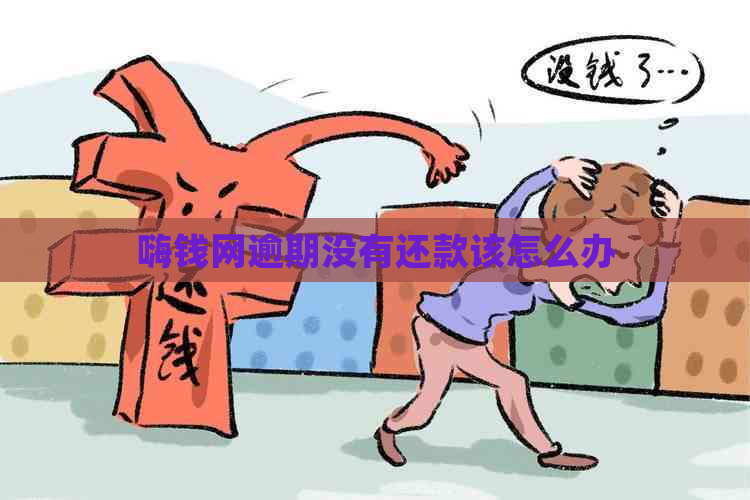 嗨钱网逾期没有还款该怎么办