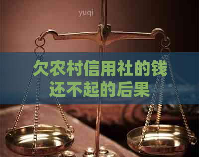 欠农村信用社的钱还不起的后果