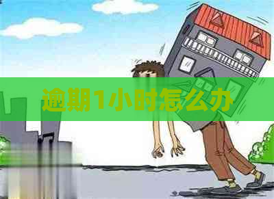 逾期1小时怎么办