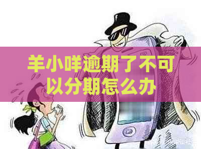 羊小咩逾期了不可以分期怎么办