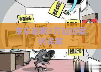 京东逾期3万起诉案例详解