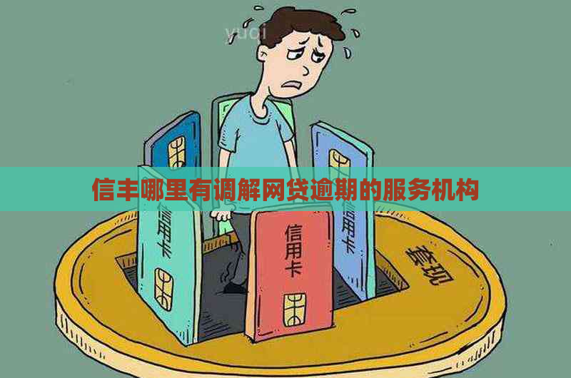 信丰哪里有调解网贷逾期的服务机构