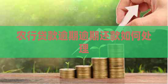 农行贷款逾期逾期还款如何处理