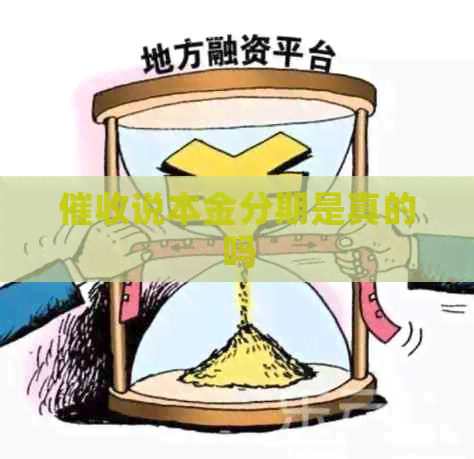 说本金分期是真的吗
