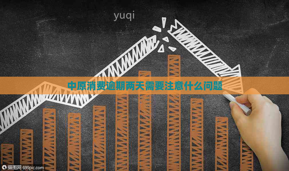 中原消费逾期两天需要注意什么问题