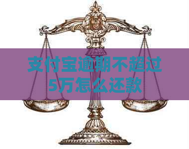 支付宝逾期不超过5万怎么还款