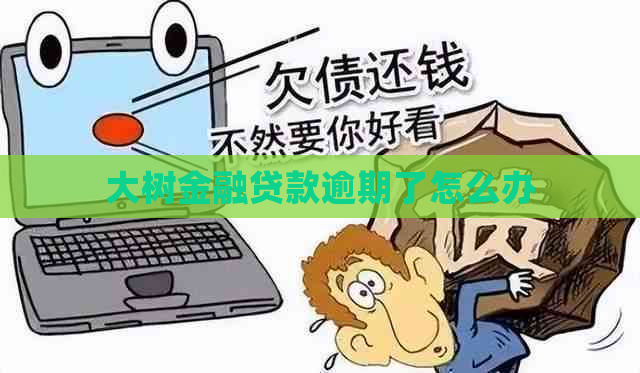 大树金融贷款逾期了怎么办