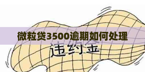 微粒贷3500逾期如何处理